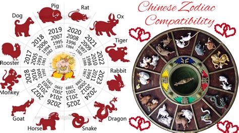 chinese zodiac compatibility|More.